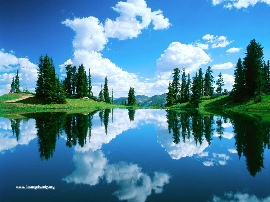 Beautiful Desktop Nature