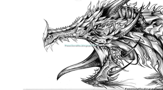 Colour Pencil Drawing Dragon
