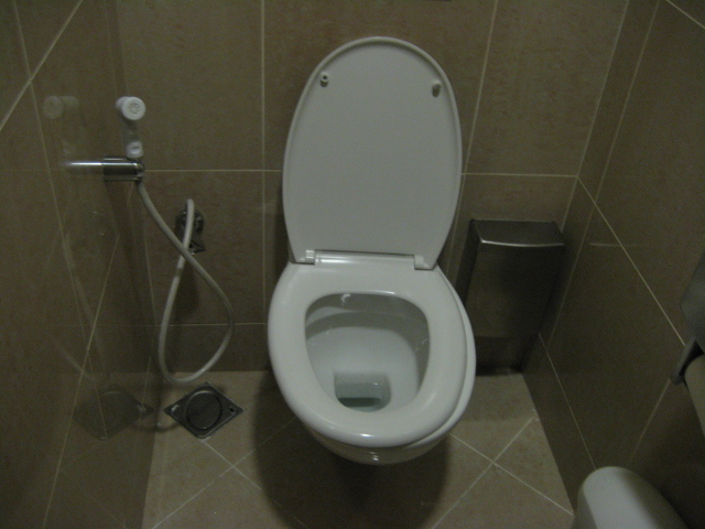Toilets in Dubai - Lonely Planet