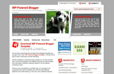 WP Polarid Wordpress tema blogger şablonu