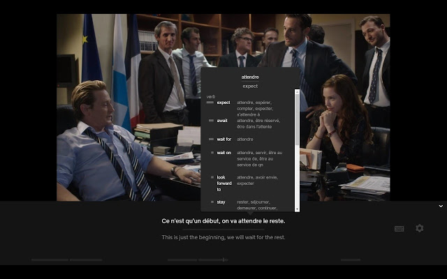 Language learning with netflix dual subtitles