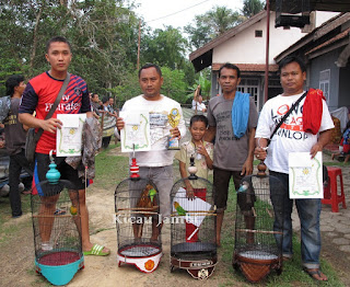 Juara 1, 2, 3, 4 kelas lovebird sakti