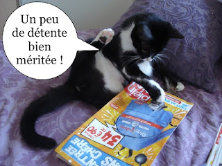 Chat lit un magazine.