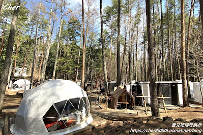 「體驗」河口湖森林系豪華露營Glamping Hanz PA