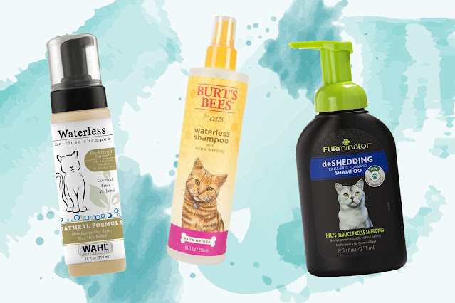 The Best Waterless Cat Shampoos for a Quick Clean