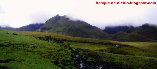 paramo de romerales, paramillo del quindio