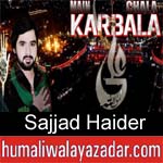 https://www.humaliwalyazadar.com/2018/09/sajjad-haider-nohay-2019.html