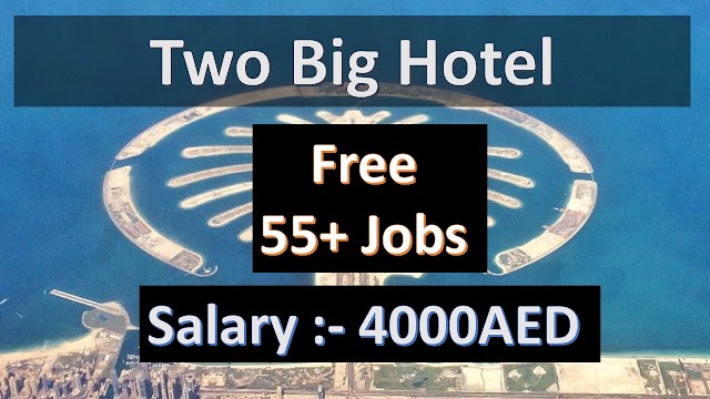 5 Star Hotel Jobs In Dubai | Dubai Hotel Job Free Visa | Two Hotel Hiring In Dubai |
