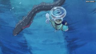 ワンピースアニメ 魚人島編 534話 | ONE PIECE Episode 534