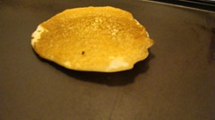 DSC04395