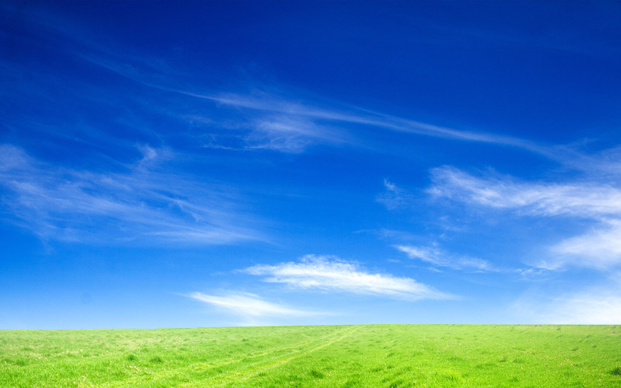 Blue Sky Greengrass