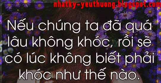 Giay dan tuong  