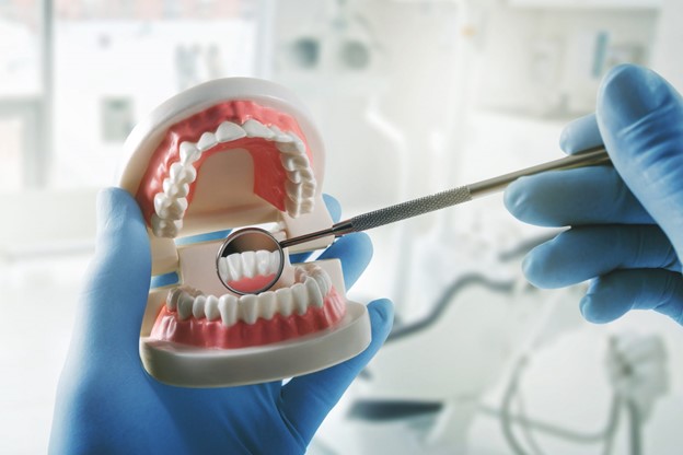 https://www.istockphoto.com/photo/dentist-holding-and-examining-a-mouth-model-gm651487092-118307491
