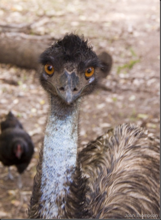 20120515_26web