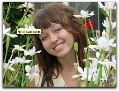 nikki california car crash