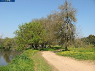 Rio Caia (Baldio), Zonas de Pesca de Castelo de Vide / Portalegre (Alto Alentejo), Portugal (Fish / Pesca)