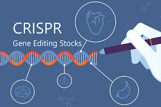 Top CRISPR Gene Editing Stocks