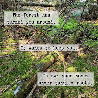 The forest has turned you around. It wants to keep you.  To own your bones under tangled roots.