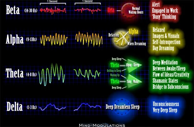 Delta Brain Waves