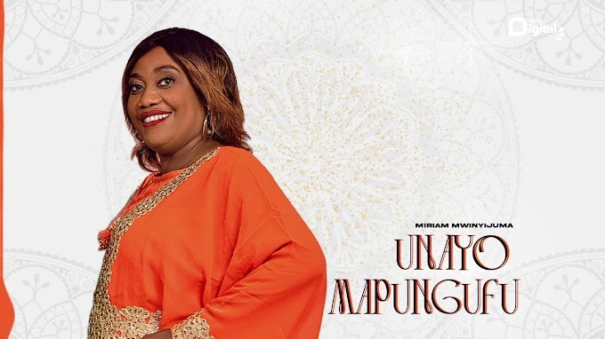 Download Audio : Jahazi Modern Taarab - Unayo Mapungufu