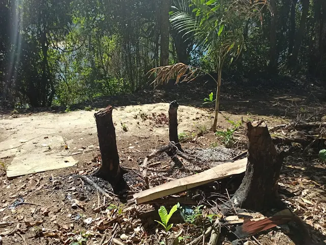 Polícia ambiental flagra área desmatada no Garacutaia, em Angra dos Reis