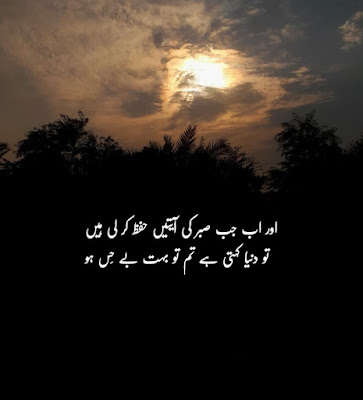 35+ Beautiful Amazing Urdu Quotes DP About Daily Life with Pictures