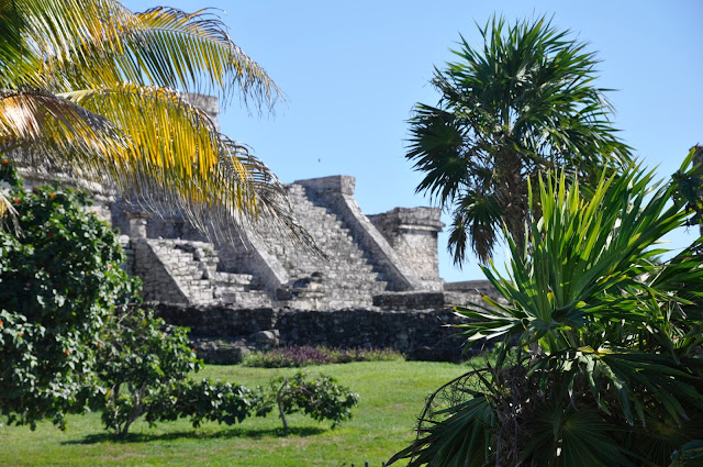 Jojo's Joys Tulum