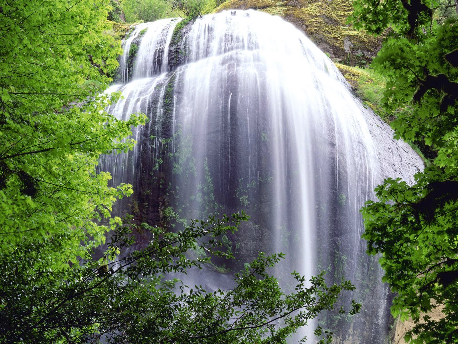 Gambar Wallpaper Bergerak Air Terjun Kumpulan Wallpaper