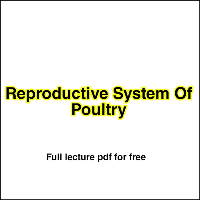 Free Download Full Pdf On Reproductive System Of Poultry