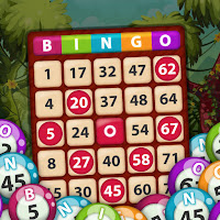 bingo-king