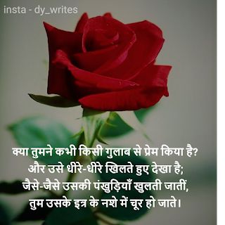 ग़ुलाब से प्रेम ?? || Hindi poetry on Love ❤,  Gulaab se prem hindi poetry on love,   क्या तुमने कभी किसी गुलाब से प्रेम किया है?, Hindi  poetry on lo