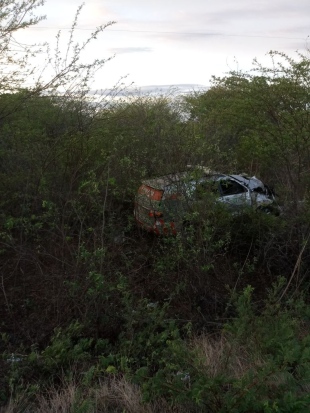 ANIMAIS NA ESTRADA: Viatura policial capota em Aracati