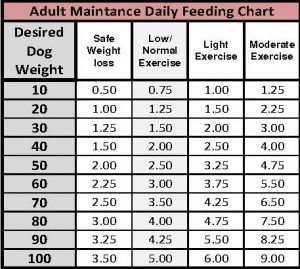 Dog Feed Chart4