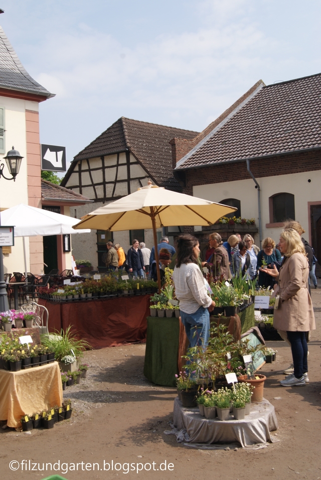 Gartenmarkt im historischen Ambiente in Darmstadt