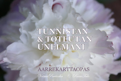 Tunnistan ja toteutan unelmani - aarrekarttaopas