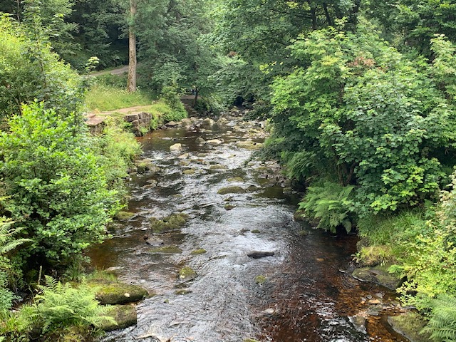 Stream at Hardcastle Crags