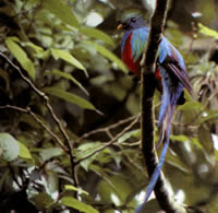 Naturaleza en Guatemala