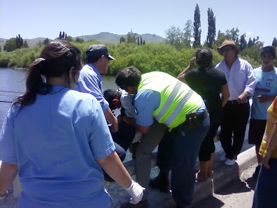 Junín de los Andes: El empleado municipal terminó en el hospital