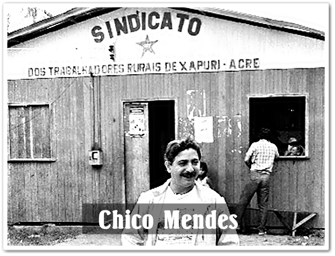 Image result for chico mendes