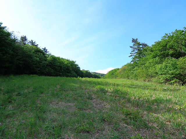 大山国際スキー場に登ります