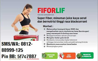 fiforlif Surabaya