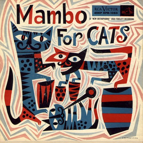 Mambo For Cats