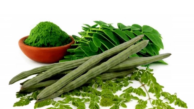  Moringa: The health benefits of this plant are unbelievable
