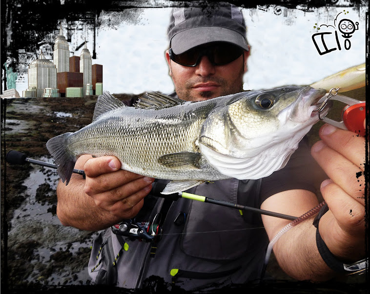 Lubina a Rock Fishing