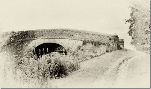 P1310306A