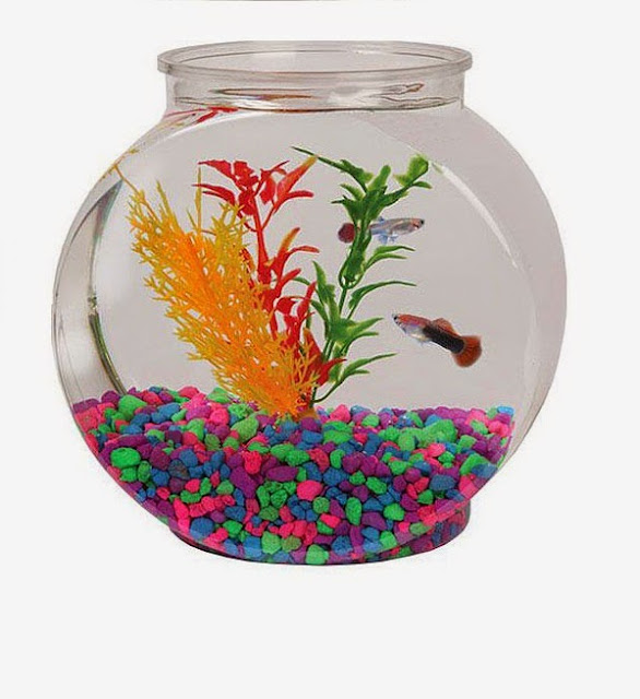  Fish Tank decoration ideas, fish bowls stones 