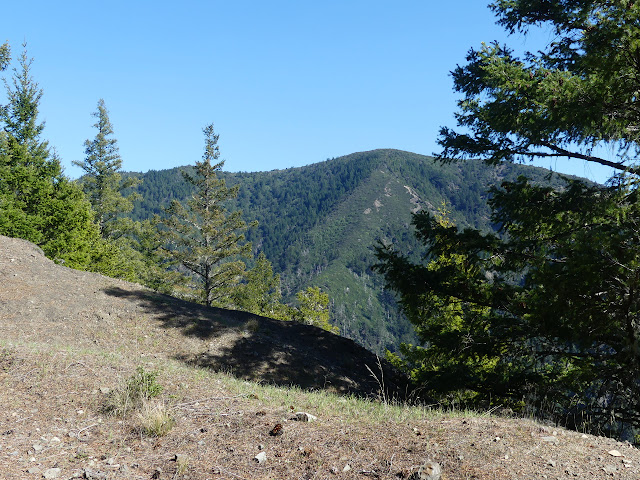 Hadley Peak, covered in green