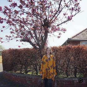 awayfromblue Instagram | cherry blossom tree blogger photo with floral print swing dress leggings