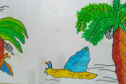 Galeri gambar ilustrasi siput bukan hewan lemah Lengkap