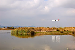 Resultado de imagen de fotos de laguna salada Prat de LLobregat